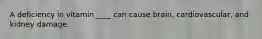 A deficiency in vitamin ____ can cause brain, cardiovascular, and kidney damage.