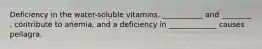 Deficiency in the water-soluble vitamins, ___________ and ________ , contribute to anemia, and a deficiency in _____________ causes pellagra.