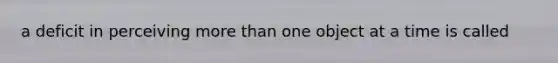 a deficit in perceiving more than one object at a time is called