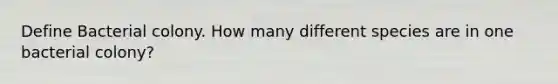 Define Bacterial colony. How many different species are in one bacterial colony?