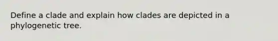 Define a clade and explain how clades are depicted in a phylogenetic tree.