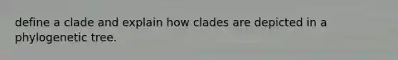 define a clade and explain how clades are depicted in a phylogenetic tree.