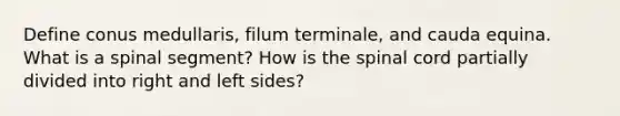 Define conus medullaris, filum terminale, and cauda equina. What is a spinal segment? How is the spinal cord partially divided into right and left sides?