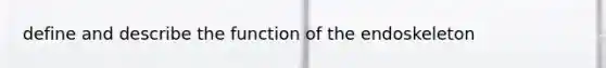 define and describe the function of the endoskeleton