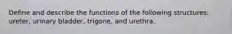 Define and describe the functions of the following structures: ureter, urinary bladder, trigone, and urethra.