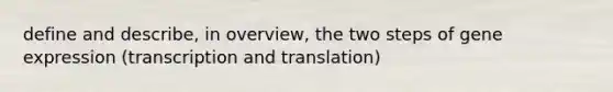 define and describe, in overview, the two steps of gene expression (transcription and translation)