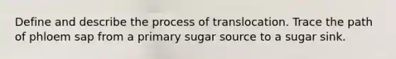 Define and describe the process of translocation. Trace the path of phloem sap from a primary sugar source to a sugar sink.