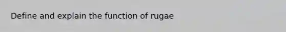 Define and explain the function of rugae