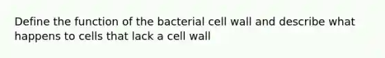 Define the function of the bacterial cell wall and describe what happens to cells that lack a cell wall