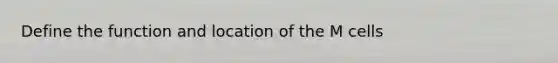 Define the function and location of the M cells