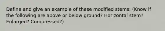 Define and give an example of these modified stems: (Know if the following are above or below ground? Horizontal stem? Enlarged? Compressed?)