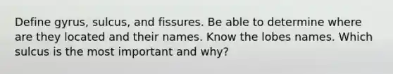 Define gyrus, sulcus, and fissures. Be able to determine where are they located and their names. Know the lobes names. Which sulcus is the most important and why?