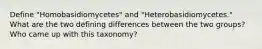 Define "Homobasidiomycetes" and "Heterobasidiomycetes." What are the two defining differences between the two groups? Who came up with this taxonomy?