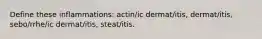 Define these inflammations: actin/ic dermat/itis, dermat/itis, sebo/rrhe/ic dermat/itis, steat/itis.