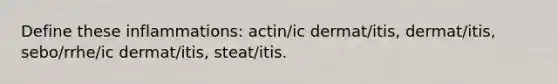 Define these inflammations: actin/ic dermat/itis, dermat/itis, sebo/rrhe/ic dermat/itis, steat/itis.