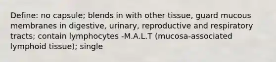 Define: no capsule; blends in with other tissue, guard mucous membranes in digestive, urinary, reproductive and respiratory tracts; contain lymphocytes -M.A.L.T (mucosa-associated lymphoid tissue); single