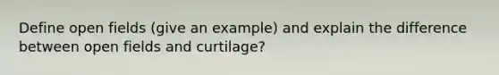 Define open fields (give an example) and explain the difference between open fields and curtilage?