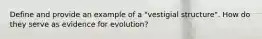 Define and provide an example of a "vestigial structure". How do they serve as evidence for evolution?