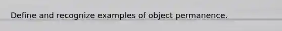 Define and recognize examples of object permanence.