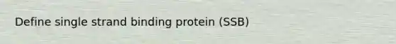 Define single strand binding protein (SSB)