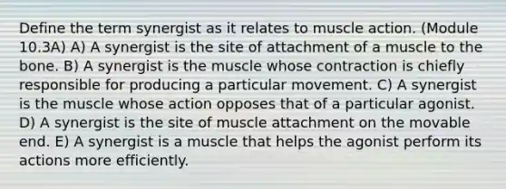 Define the term synergist as it relates to muscle action. (Module 10.3A) A) A synergist is the site of attachment of a muscle to the bone. B) A synergist is the muscle whose contraction is chiefly responsible for producing a particular movement. C) A synergist is the muscle whose action opposes that of a particular agonist. D) A synergist is the site of muscle attachment on the movable end. E) A synergist is a muscle that helps the agonist perform its actions more efficiently.