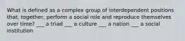 What is defined as a complex group of interdependent positions that, together, perform a social role and reproduce themselves over time? ___ a triad ___ a culture ___ a nation ___ a social institution