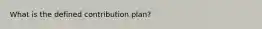 What is the defined contribution plan?