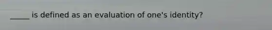 _____ is defined as an evaluation of one's identity?