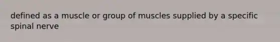 defined as a muscle or group of muscles supplied by a specific spinal nerve