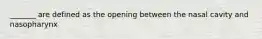 _______ are defined as the opening between the nasal cavity and nasopharynx