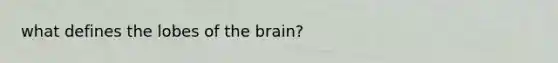 what defines the lobes of the brain?