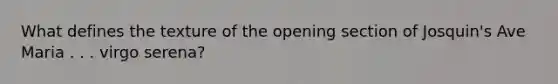 What defines the texture of the opening section of Josquin's Ave Maria . . . virgo serena?