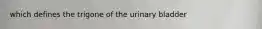 which defines the trigone of the urinary bladder