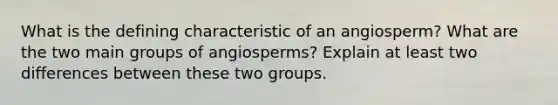 What is the defining characteristic of an angiosperm? What are the two main groups of angiosperms? Explain at least two differences between these two groups.