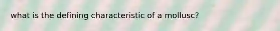 what is the defining characteristic of a mollusc?