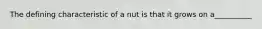 The defining characteristic of a nut is that it grows on a__________