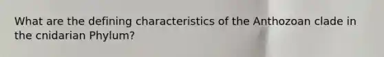 What are the defining characteristics of the Anthozoan clade in the cnidarian Phylum?