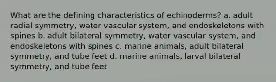 What are the defining characteristics of echinoderms? a. adult radial symmetry, water vascular system, and endoskeletons with spines b. adult bilateral symmetry, water vascular system, and endoskeletons with spines c. marine animals, adult bilateral symmetry, and tube feet d. marine animals, larval bilateral symmetry, and tube feet