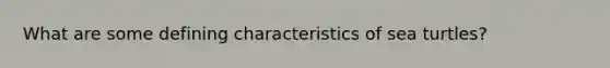 What are some defining characteristics of sea turtles?