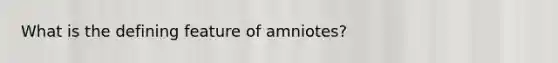 What is the defining feature of amniotes?