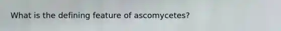 What is the defining feature of ascomycetes?