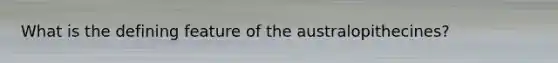 What is the defining feature of the australopithecines?