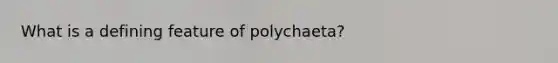 What is a defining feature of polychaeta?