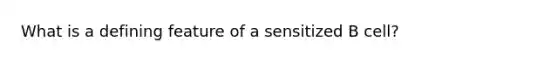 What is a defining feature of a sensitized B cell?