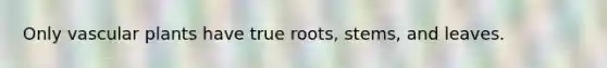 Only <a href='https://www.questionai.com/knowledge/kbaUXKuBoK-vascular-plants' class='anchor-knowledge'>vascular plants</a> have true roots, stems, and leaves.