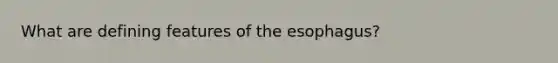 What are defining features of <a href='https://www.questionai.com/knowledge/kSjVhaa9qF-the-esophagus' class='anchor-knowledge'>the esophagus</a>?