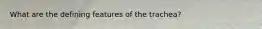 What are the defining features of the trachea?