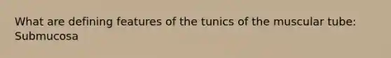 What are defining features of the tunics of the muscular tube: Submucosa