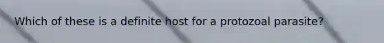 Which of these is a definite host for a protozoal parasite?