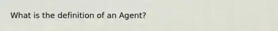 What is the definition of an Agent?